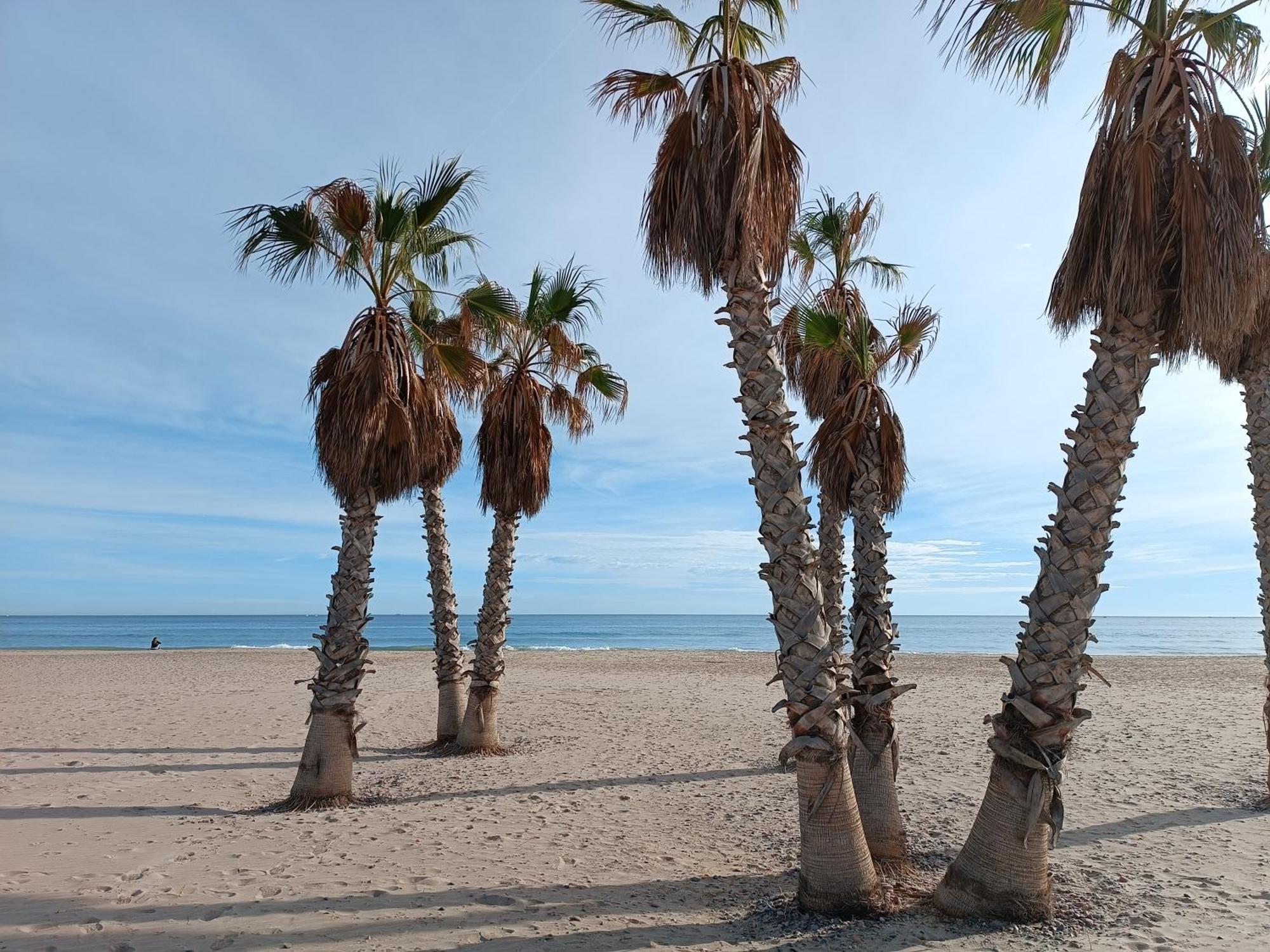Playa Cannet 20 Km Valencia Piscina Tennis كانيت ذي بيرينغير المظهر الخارجي الصورة