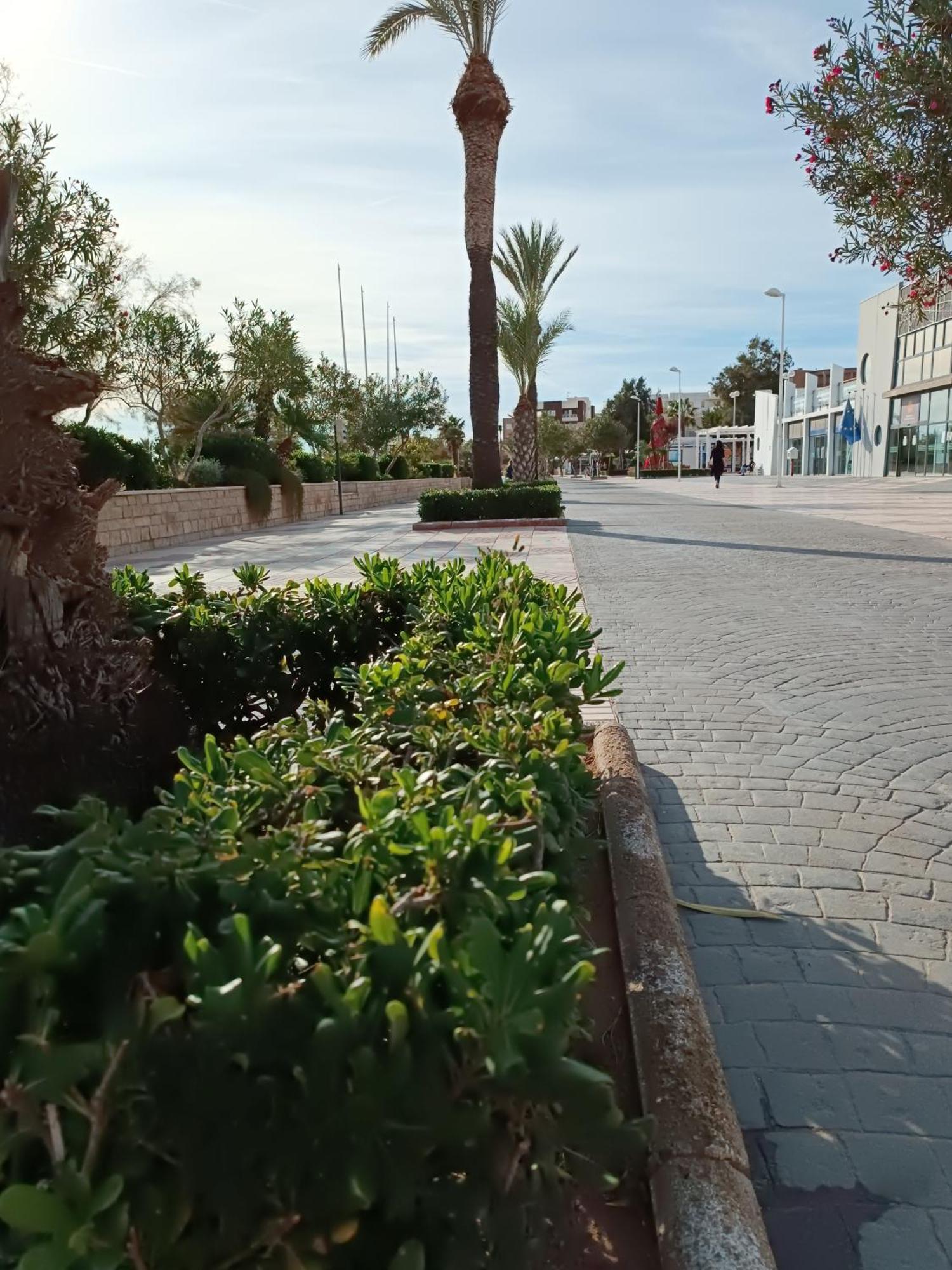 Playa Cannet 20 Km Valencia Piscina Tennis كانيت ذي بيرينغير المظهر الخارجي الصورة